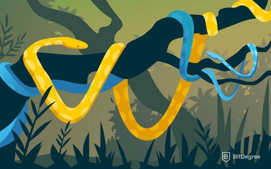 Python самоучитель: 8 простых шагов к изучению Python