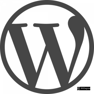 Official WordPress Logo