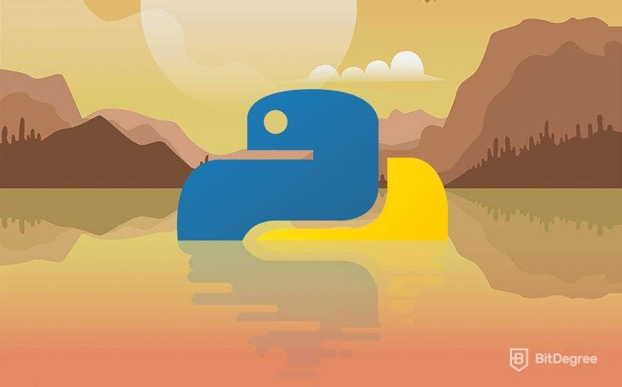 TOP 10: ¡Mejores cursos Python en BitDegree!