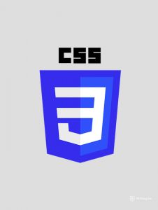 CSS interview questions - logo