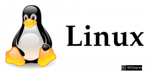 Logo of linux interview questions