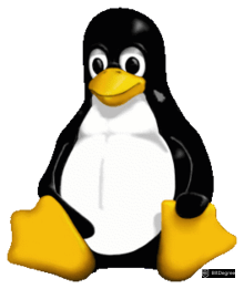 Linux interview questions - linux logo