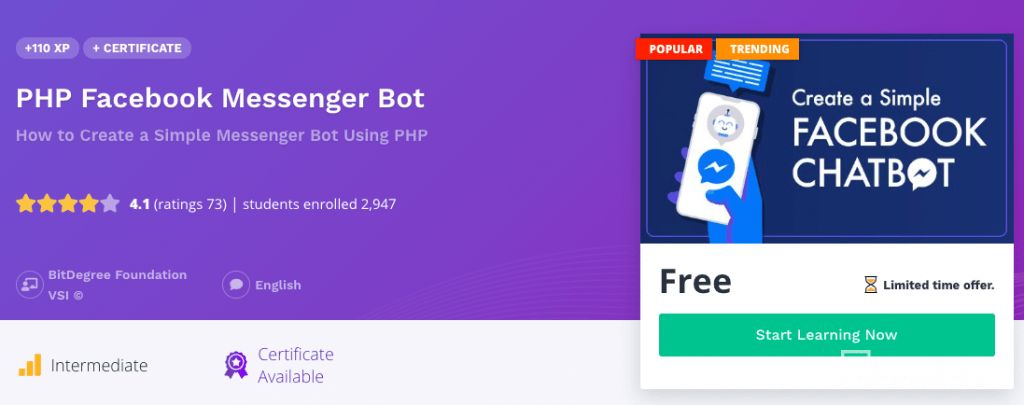 Online programming courses on bots