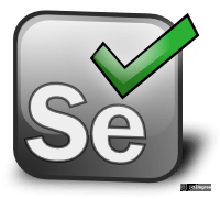 selenium kullanımı
