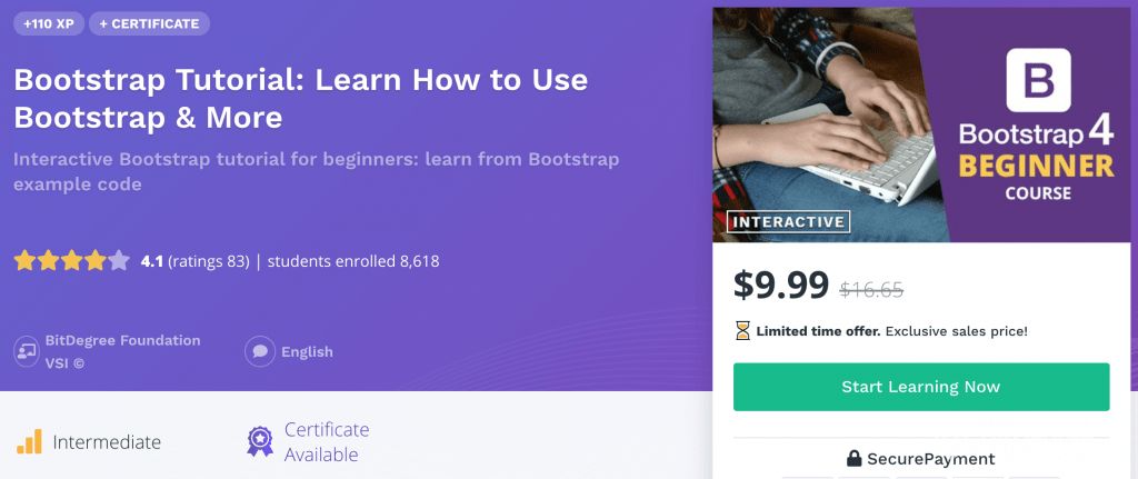 Bootstrap interactive course