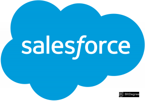 Salesforce interview questions - logo