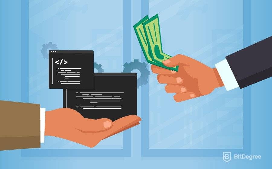 What is the Software Developer Salary: Explained