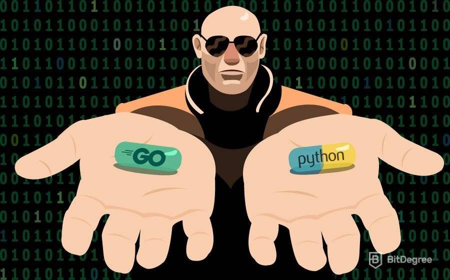 GO VS Python: Se você tivesse que escolher um…