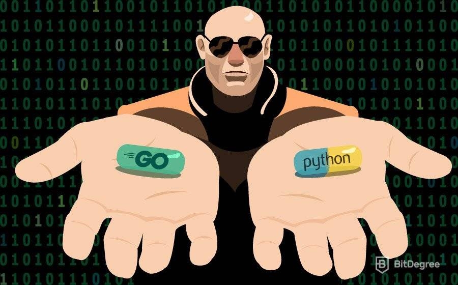 Tutorial Python VS. GO ¿Qué lenguaje de programación aprender?