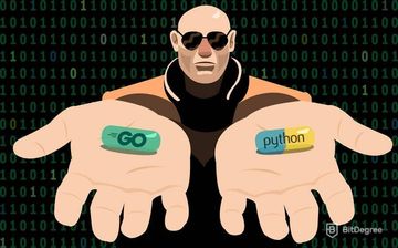 GO和Python的区别比较: 帮您分析GO和Python究竟哪个更适合您学习