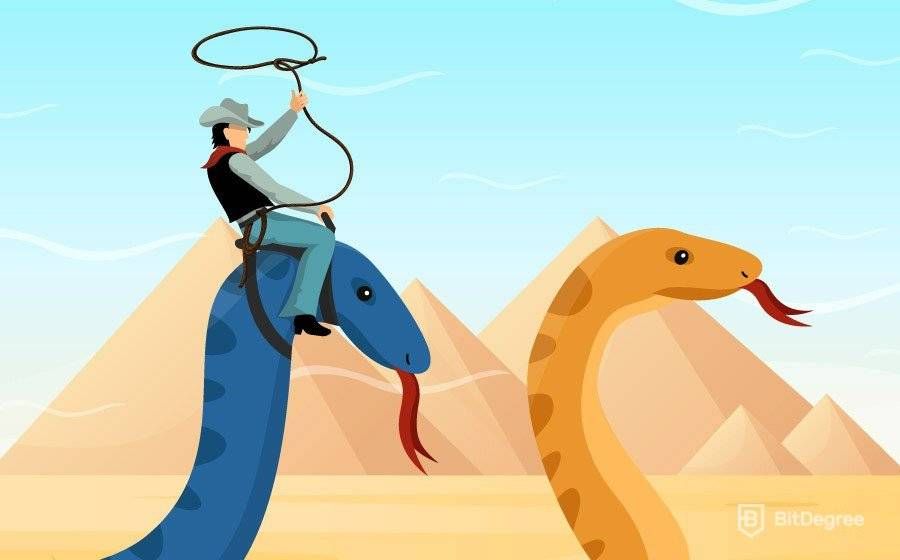 Dans Quel Cas Utiliser Python? Le Guide Complet