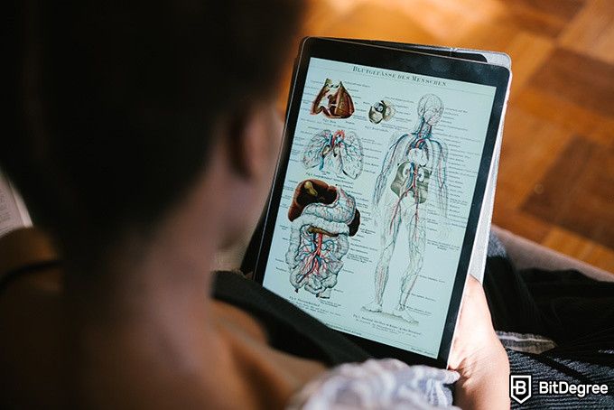 How to draw: a woman is looking at anatomical drawings on a tablet.