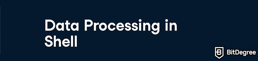 DataCamp Data Engineer: The Data Processing in Shell course.