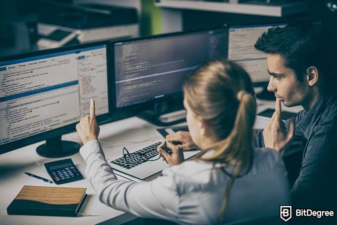 What is a Web Developer & What Does a Web Developer do: Full Guide image.
