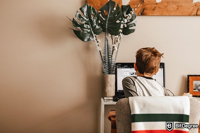 Distance learning: a boy is looking at a computer screen from behind.