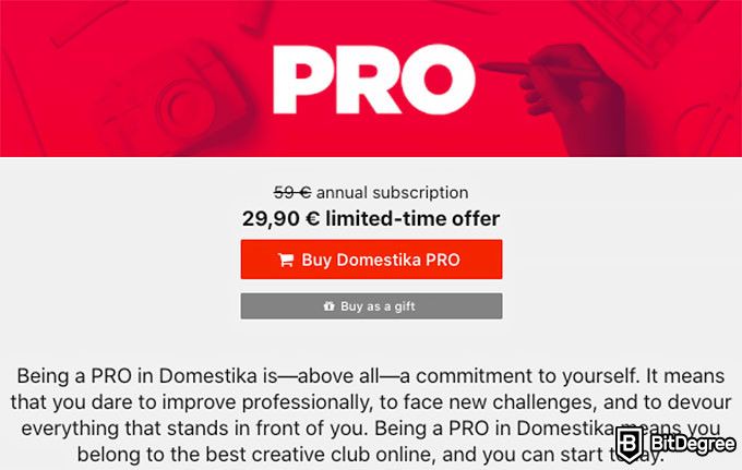 Domestika review: PRO membership.