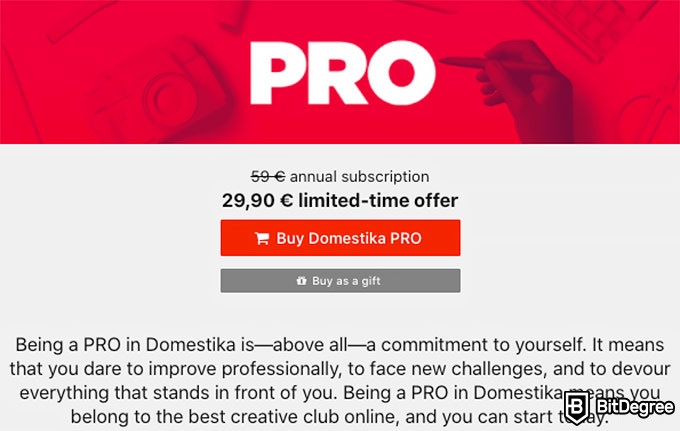 Reseña Domestika: Plan PRO.