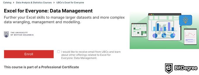 Excel classes online: data management course