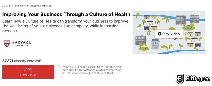 Бизнес онлайн курсы: улучшение вашего бизнеса через культуру здоровья.