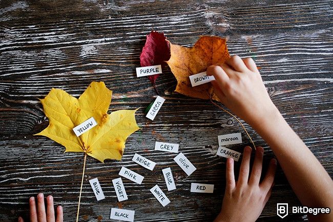 How to Learn English: learning colors of tree leaves with paper notes.