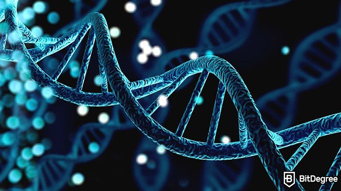 Online Biochemistry Course: DNA strands.