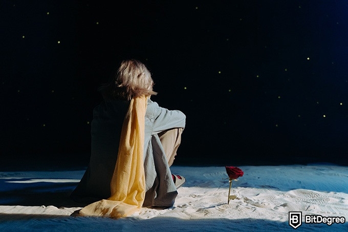 Online literature course: the little prince.