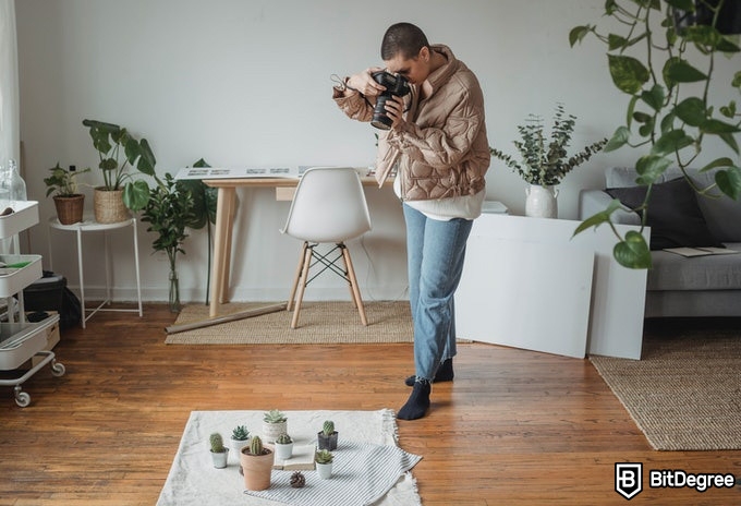 Online photography classes: taking picture of cacti