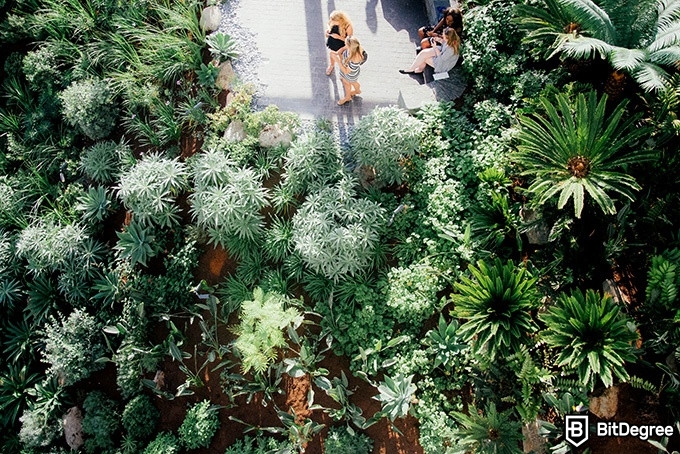 Online social sciences degree: people are walking around a garden.