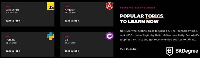 Pluralsight review: Pluralsight topics.