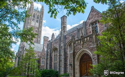 Best Princeton University Online Courses: Suited for Different Needs