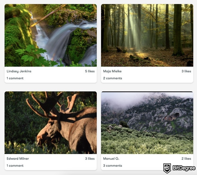 Skillshare Photography - Nature photography course student projects