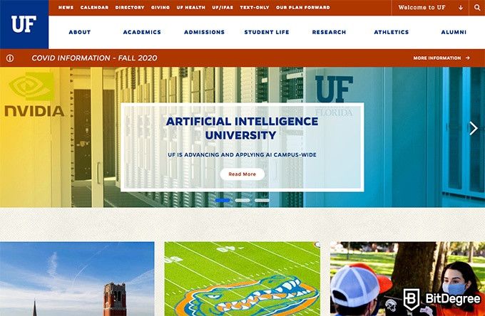 Cursos Online Universidad de Florida: Página principal.