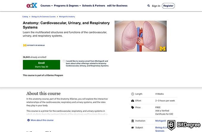 University of Michigan online courses: Anatomy: Cardiovascular, Urinary, and Respiratory Systems.