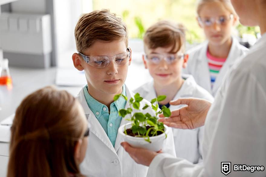 Online biology courses: kids are learning about a plant.