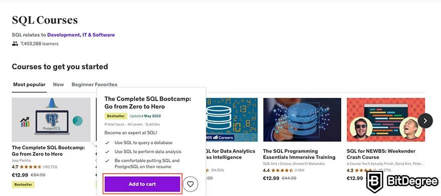 Udemy Black Friday: SQL course page.