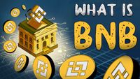 What is BNB? The Truth Behind Binance Smart Chain (Animated)